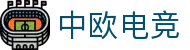 中欧电竞-跨越地域，共享竞技热爱